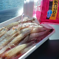 MARUKYU Appâts|Leurres-Attractant EBISHAKI