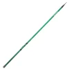 DAIWA Cannes-Canne Bombette Sensor THF 4m20 (30-80g)