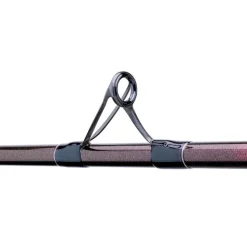 DAIWA Surfcasting|Cannes-Canne prime caster slim 4,25m 560g