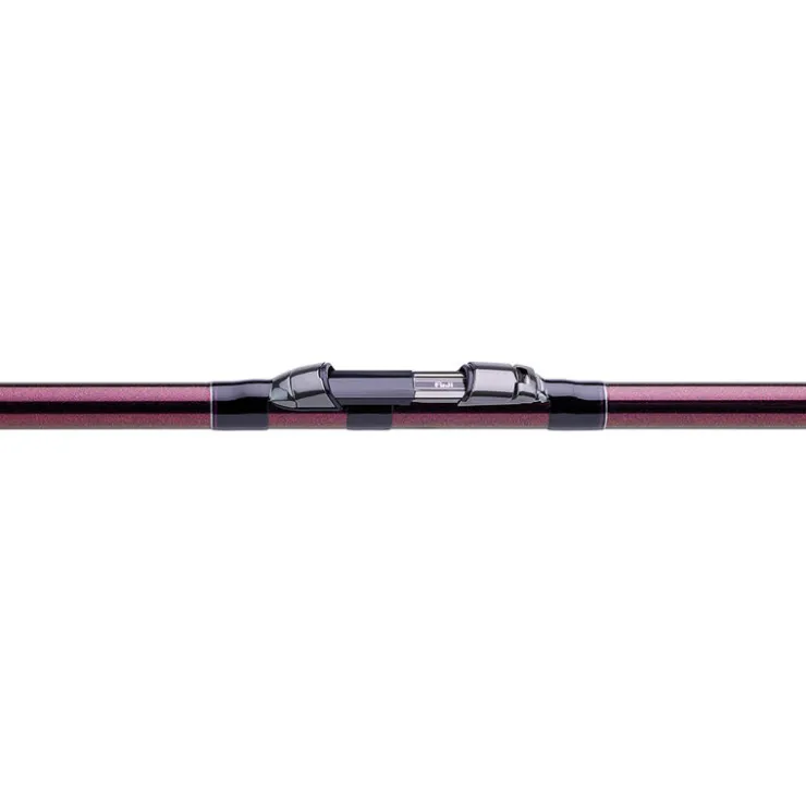 DAIWA Surfcasting|Cannes-Canne prime caster slim 4,25m 560g