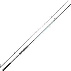 DAIWA Pêche Aux Leurres|Cannes-Canne Spinning Caldia Seabass 702MHFS