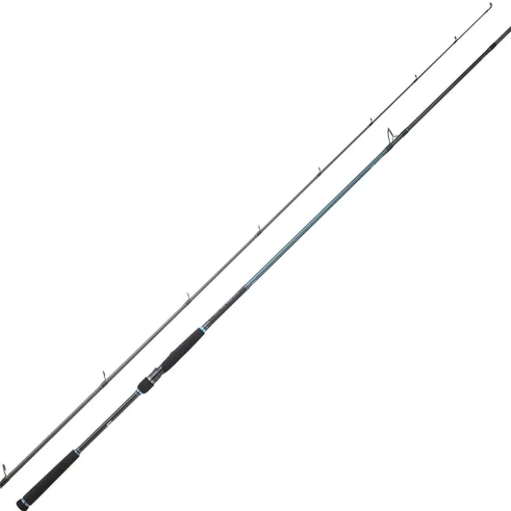 DAIWA Pêche Aux Leurres|Cannes-Canne Spinning Caldia Seabass 702MHFS