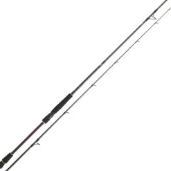 DAIWA Cannes-Canne Spinning Infeet Seabass 2.44m 7-28g