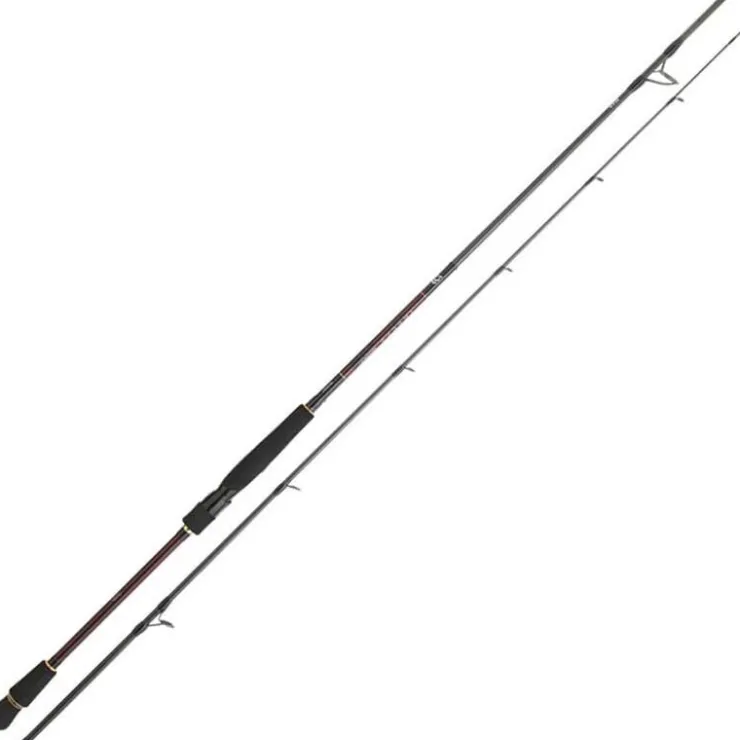 DAIWA Cannes-Canne Spinning Infeet Seabass 2.44m 7-28g