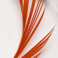 JMC Fly Tying-Fly tying plumes goose biot