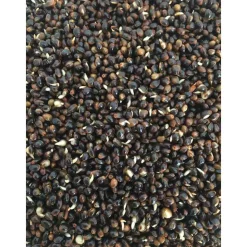 MACK2 Découverte Pêche À La Carpe|Appâts Et Fabrication-Graine cuite carpe ready made chili hemp 2.3l
